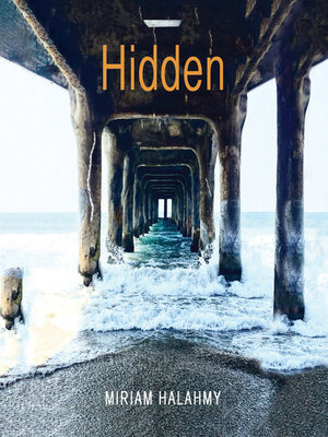 Hidden - Audiobook